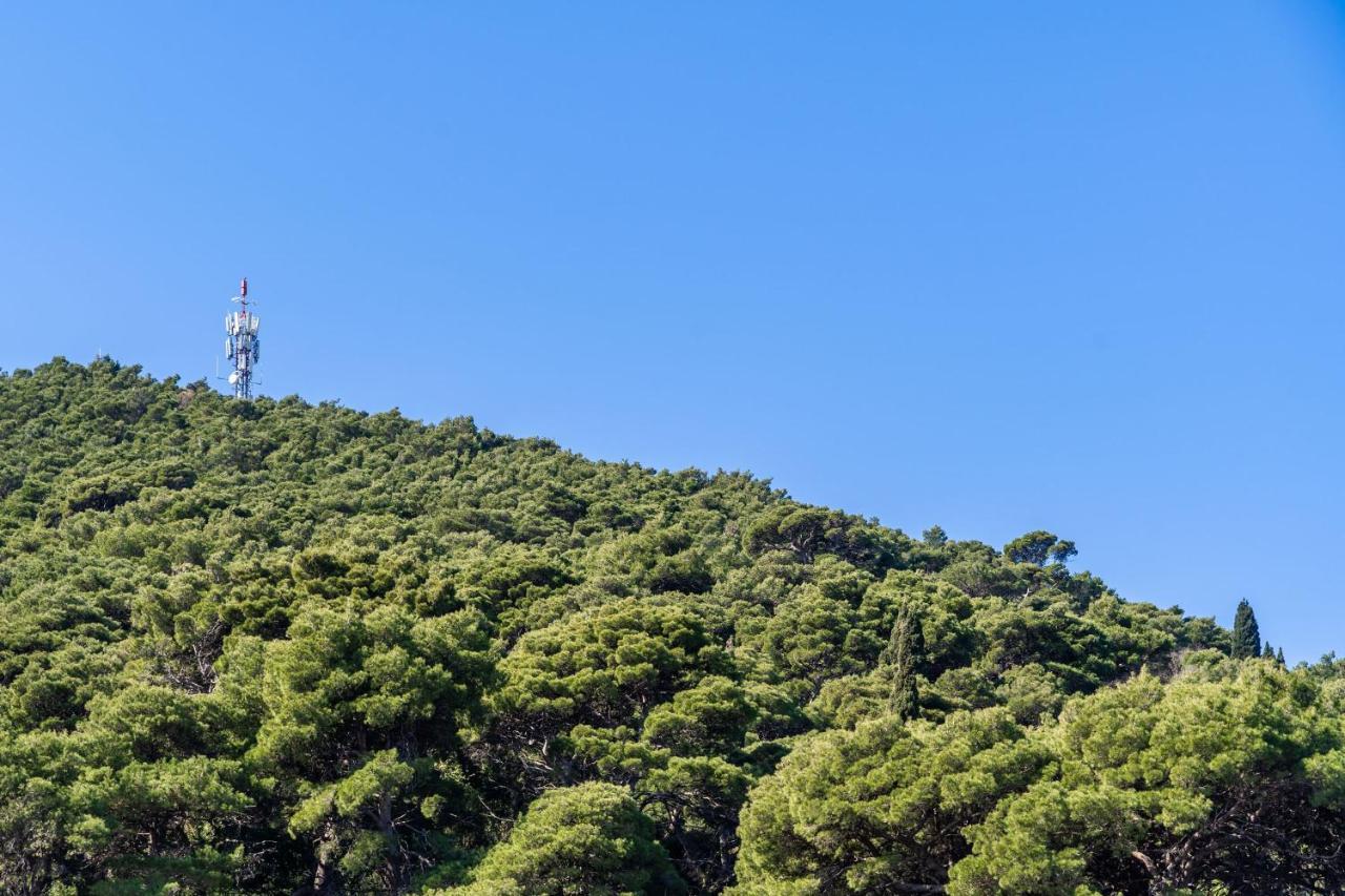 Apartment Dorica Dubrovnik Dış mekan fotoğraf